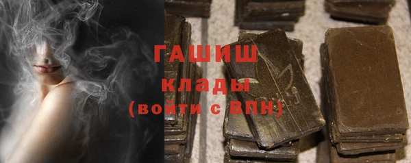 прущие грибы Козельск