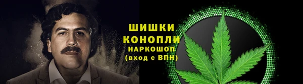 прущие грибы Козельск
