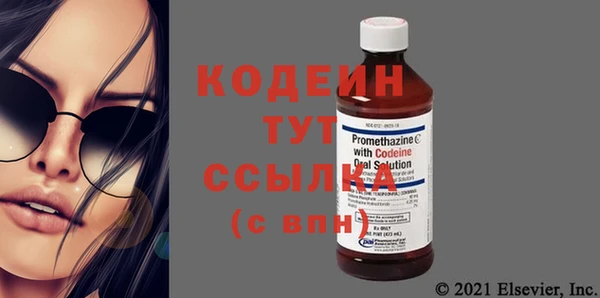 прущие грибы Козельск
