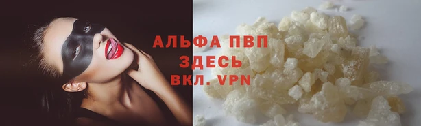 прущие грибы Козельск