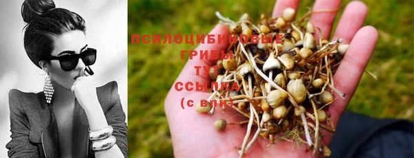 mdpv Кодинск