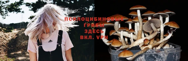 героин Козловка
